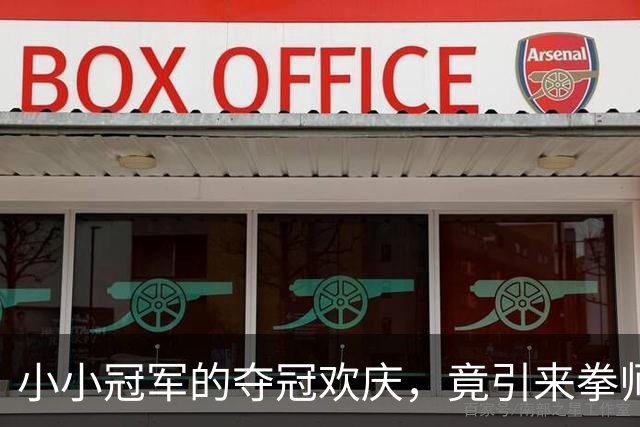 小小冠军的夺冠欢庆，竟引来拳师的打拳风波！